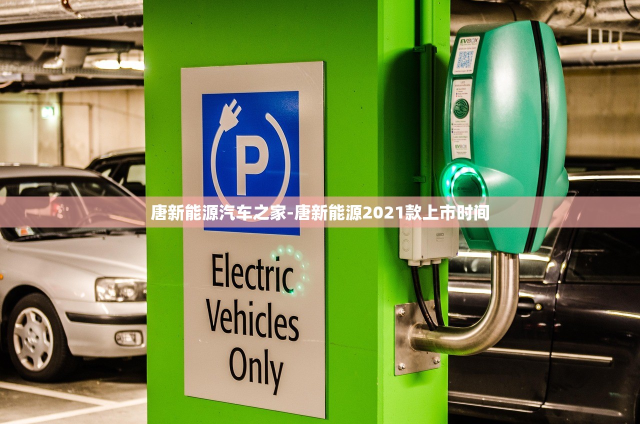 唐新能源汽车之家-唐新能源2021款上市时间