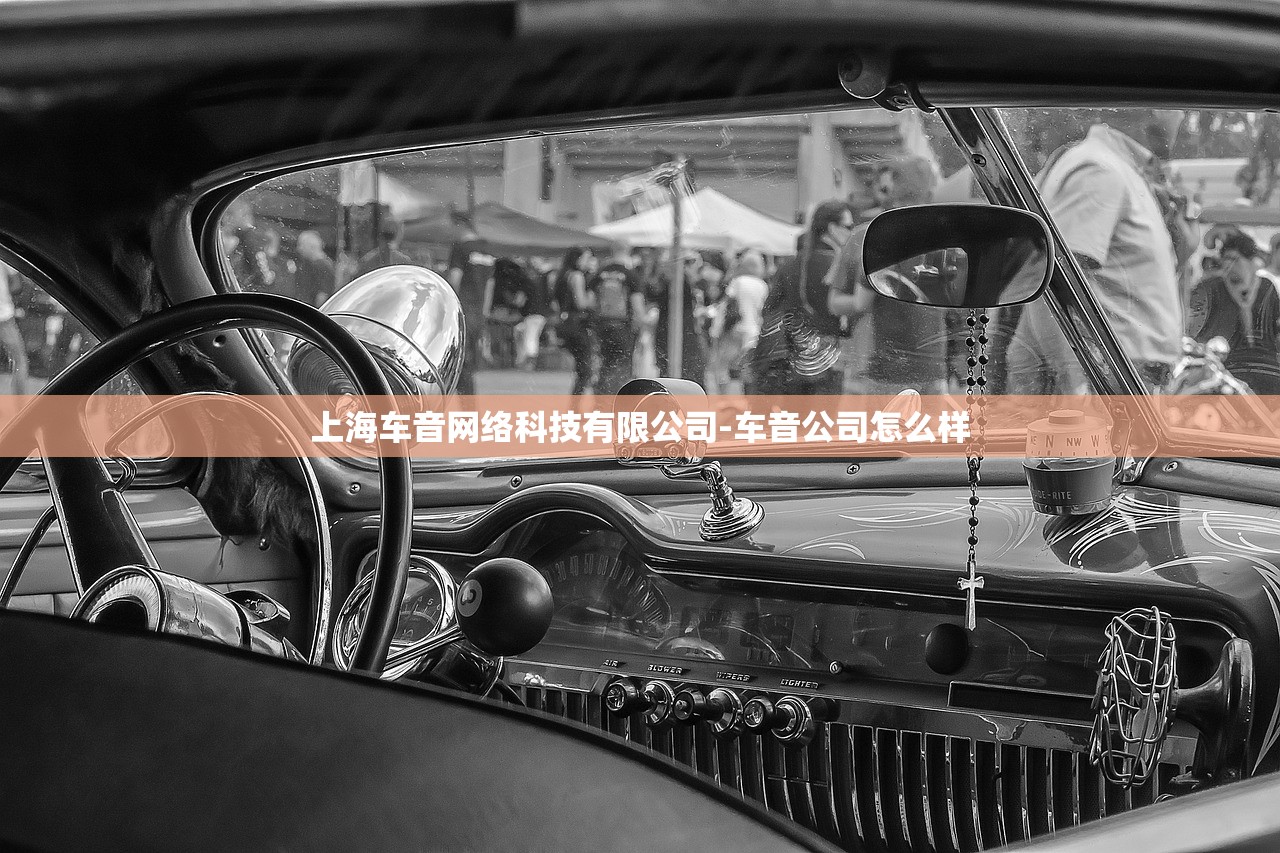 上海车音网络科技有限公司-车音公司怎么样 上海车音网络科技有限公司-车音公司怎么样