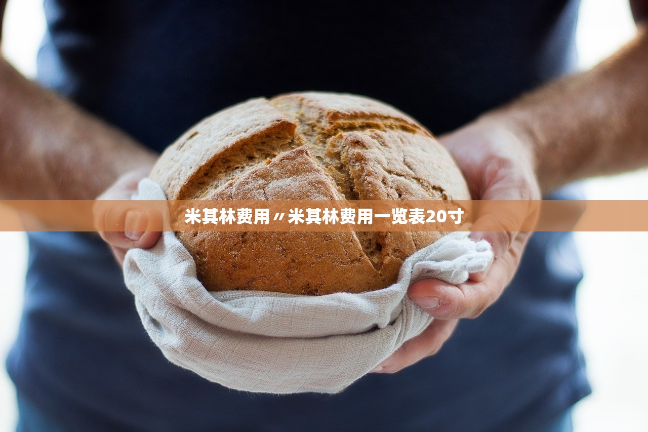米其林费用〃米其林费用一览表20寸 米其林费用〃米其林费用一览表20寸