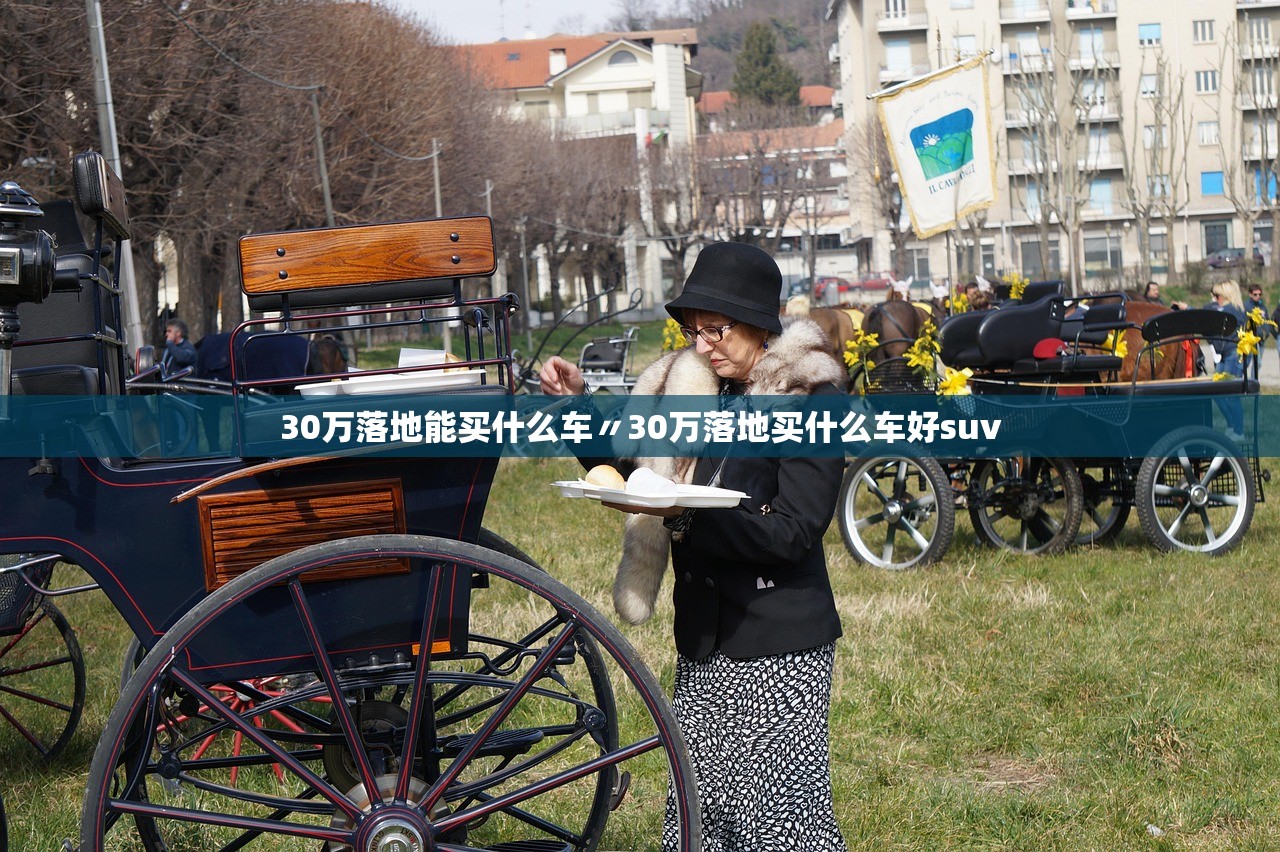 30万落地能买什么车〃30万落地买什么车好suv 30万落地能买什么车〃30万落地买什么车好suv