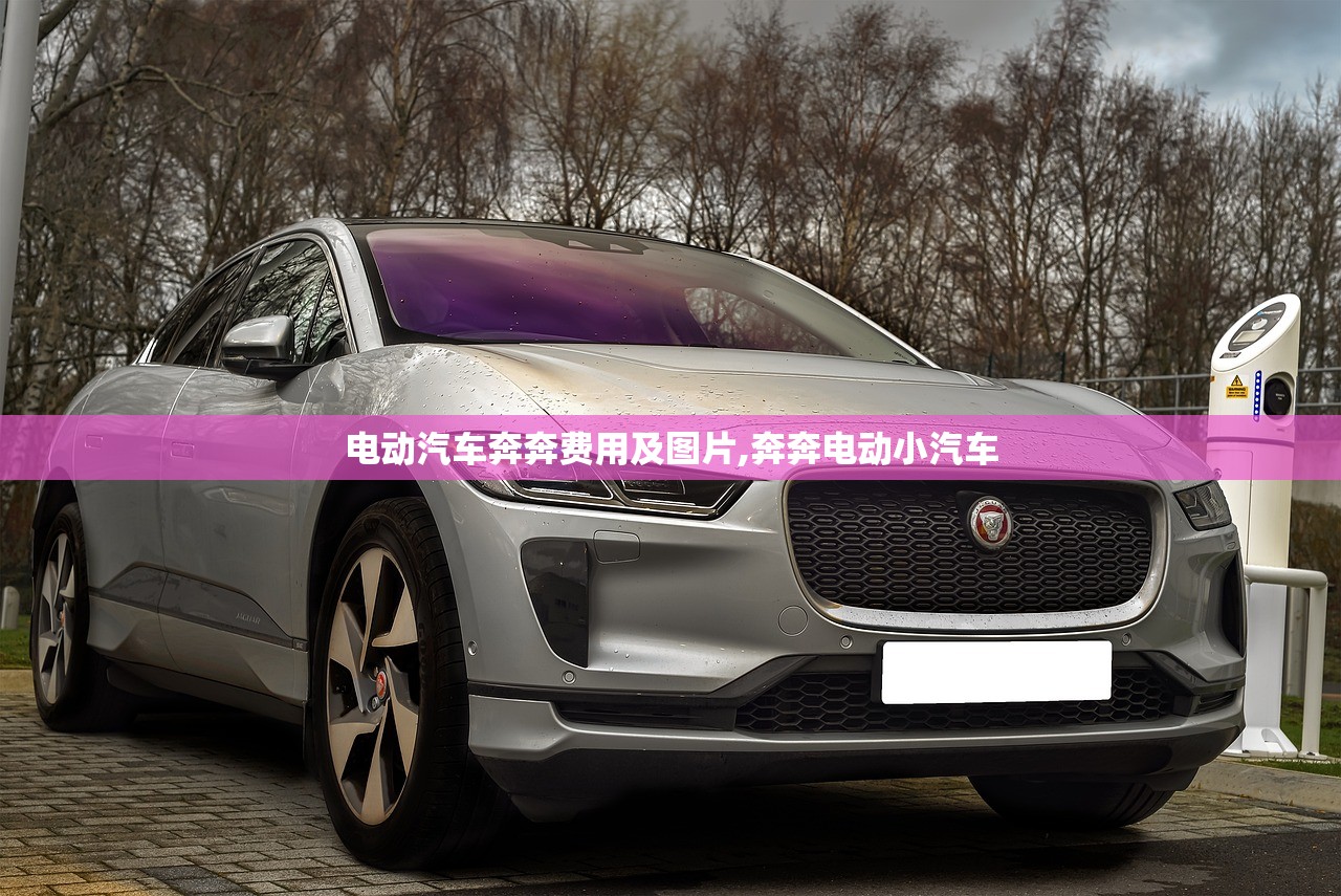 电动汽车奔奔费用及图片,奔奔电动小汽车 电动汽车奔奔费用及图片,奔奔电动小汽车