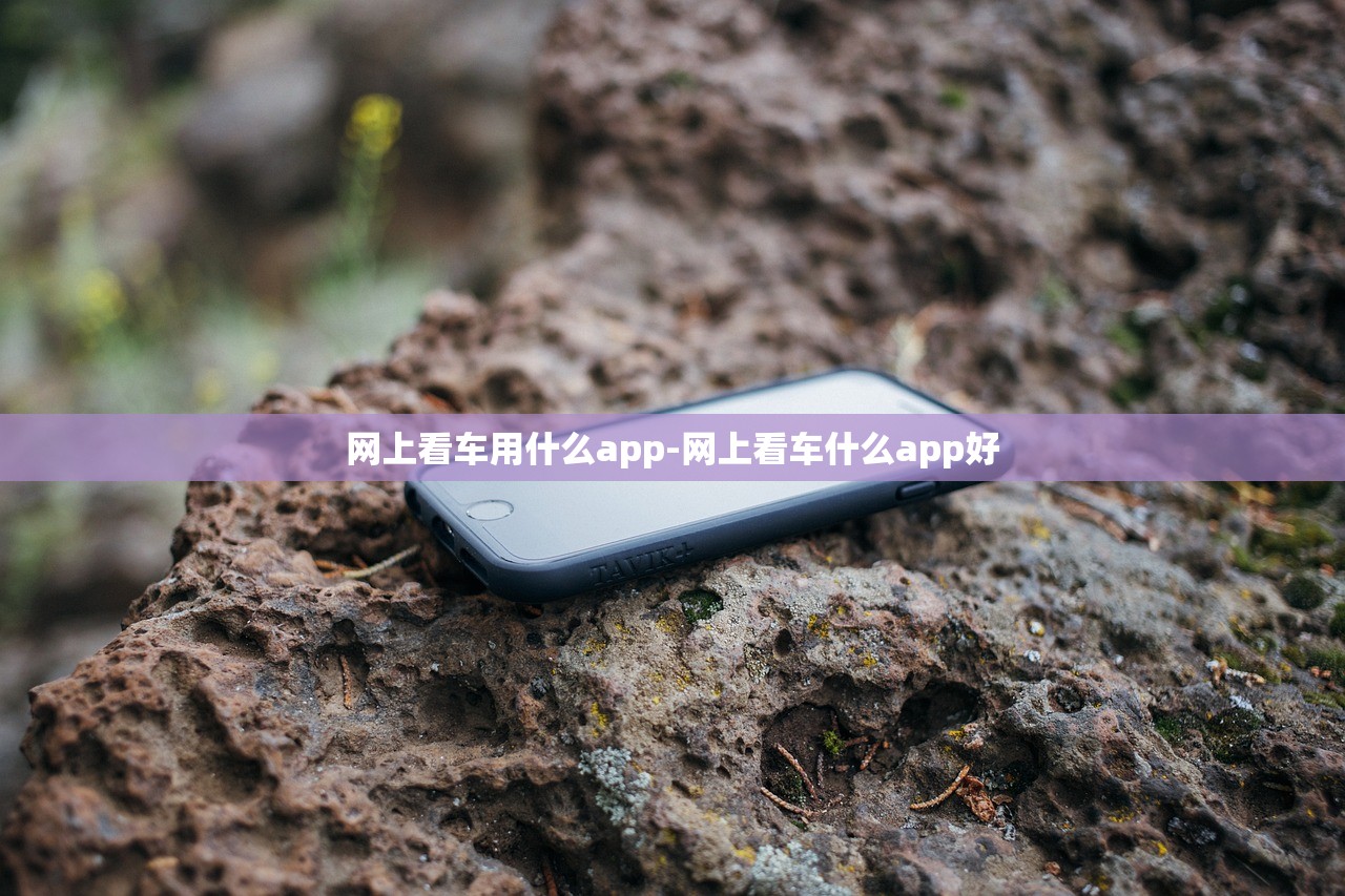 网上看车用什么app-网上看车什么app好