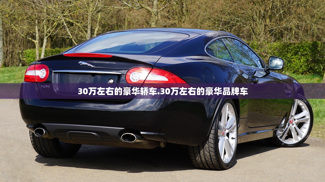 30万左右的豪华轿车.30万左右的豪华品牌车 30万左右的豪华轿车.30万左右的豪华品牌车