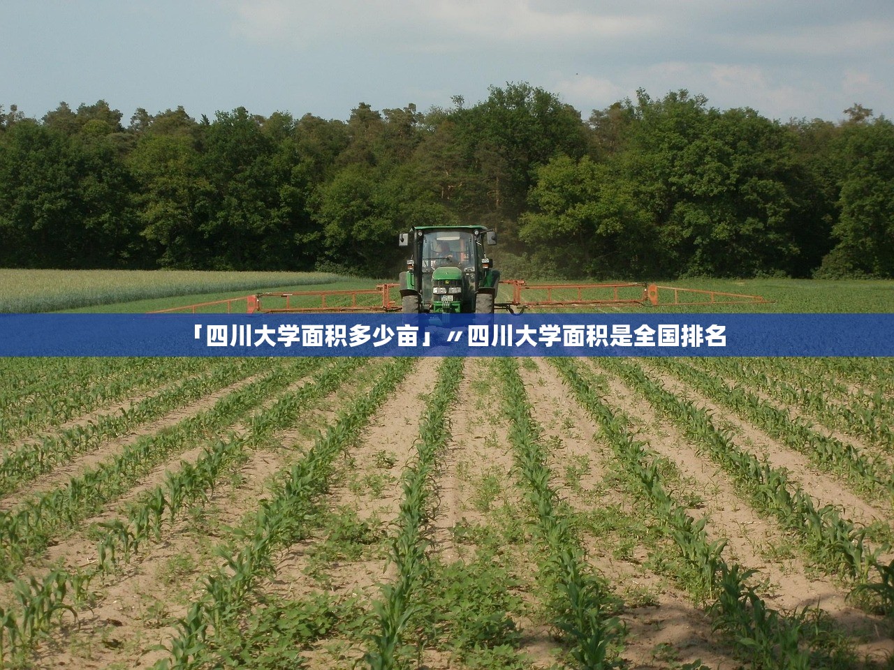 「四川大学面积多少亩」〃四川大学面积是全国排名 「四川大学面积多少亩」〃四川大学面积是全国排名