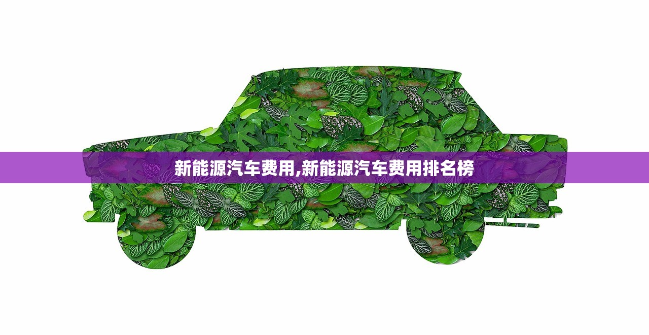 新能源汽车费用,新能源汽车费用排名榜 新能源汽车费用,新能源汽车费用排名榜