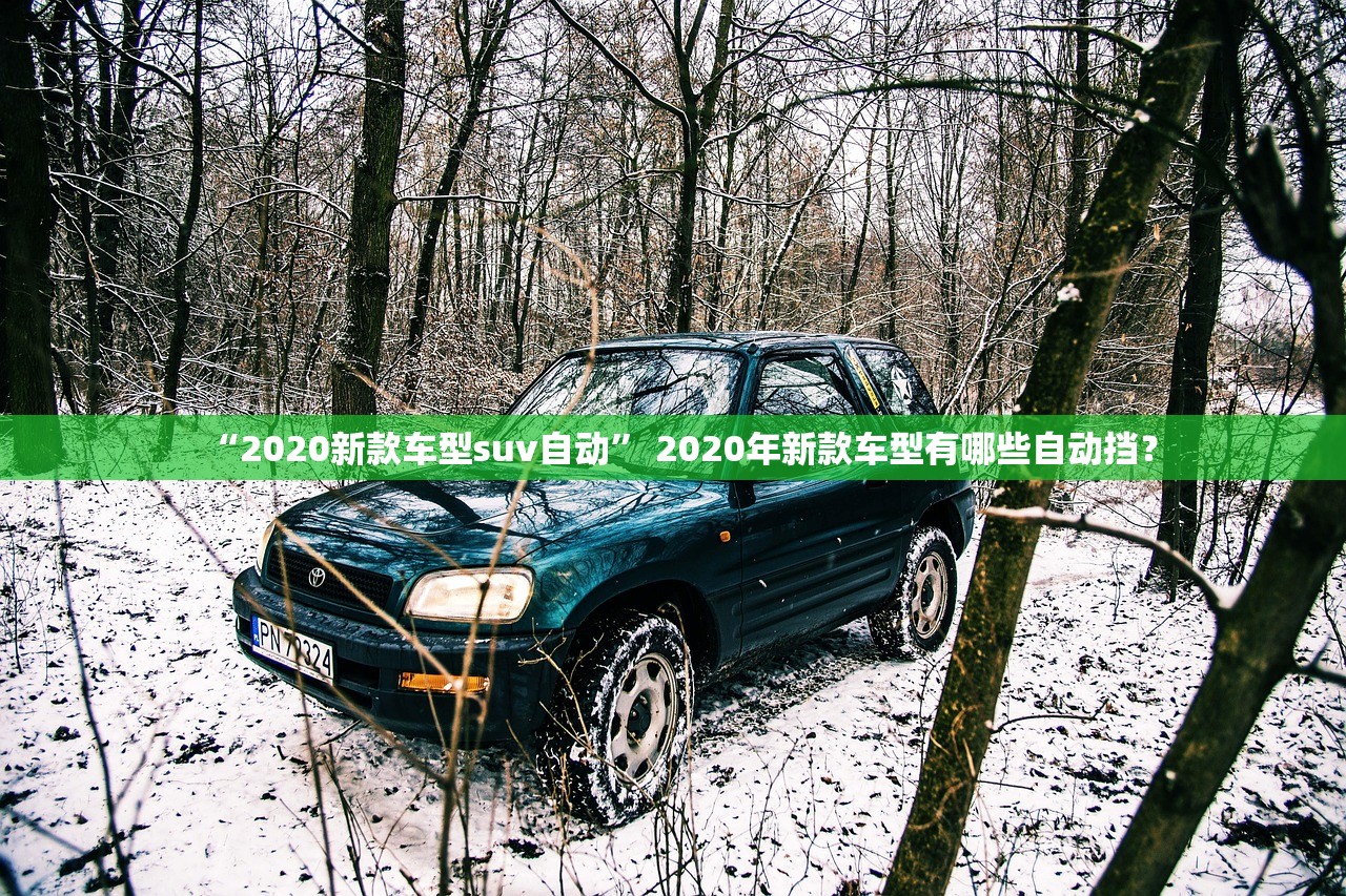 “2020新款车型suv自动	” 2020年新款车型有哪些自动挡？