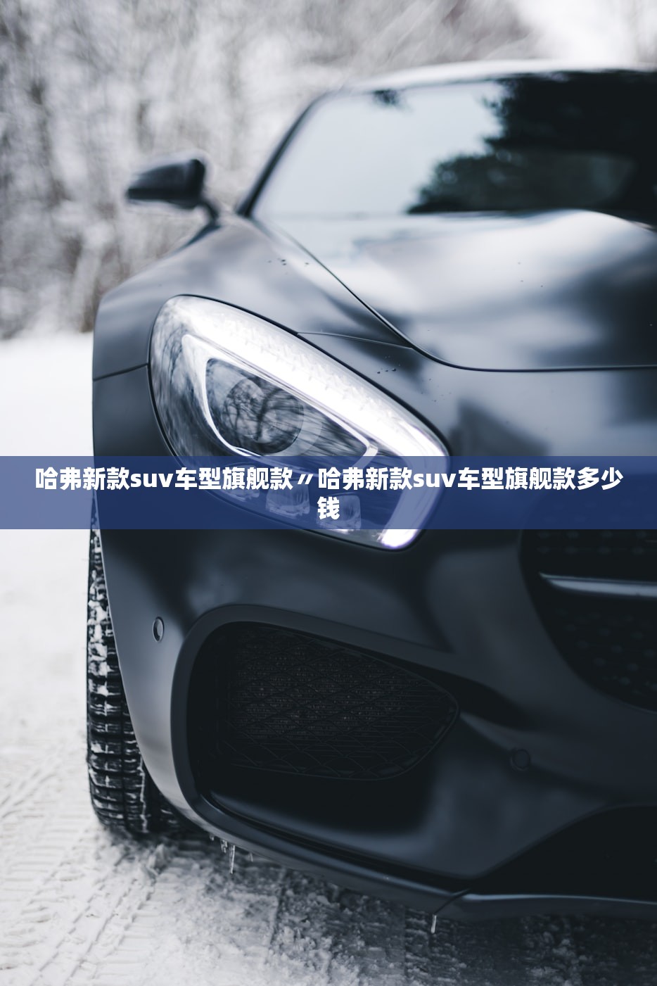 哈弗新款suv车型旗舰款〃哈弗新款suv车型旗舰款多少钱 哈弗新款suv车型旗舰款〃哈弗新款suv车型旗舰款多少钱