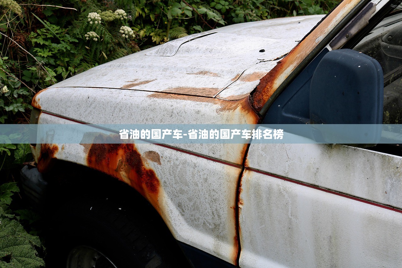 省油的国产车-省油的国产车排名榜 省油的国产车-省油的国产车排名榜