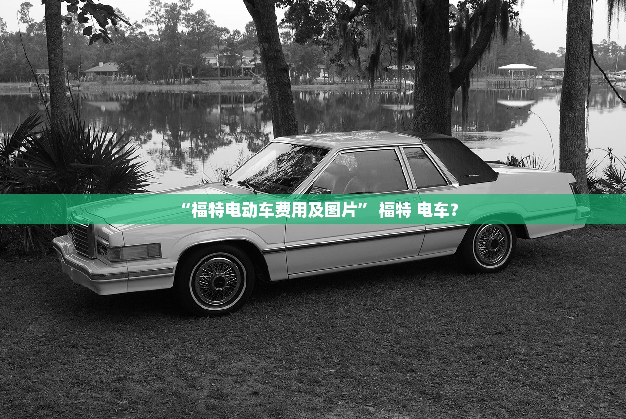 “福特电动车费用及图片” 福特 电车？
