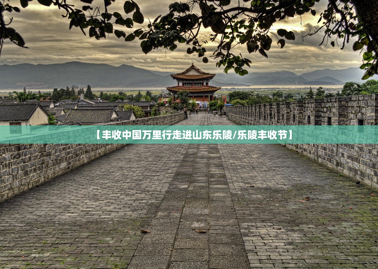 【丰收中国万里行走进山东乐陵/乐陵丰收节】 【丰收中国万里行走进山东乐陵/乐陵丰收节】