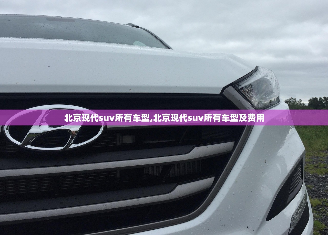 北京现代suv所有车型,北京现代suv所有车型及费用