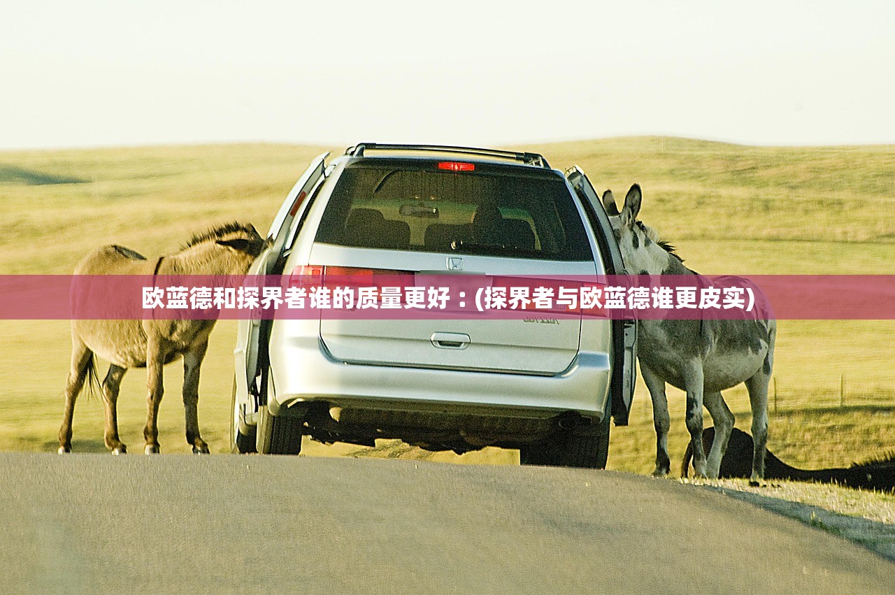 尼桑所有车型︰(尼桑所有车型名字) 尼桑所有车型︰(尼桑所有车型名字)