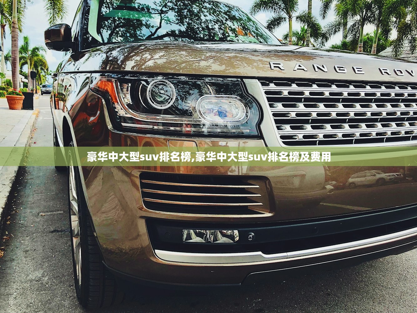 豪华中大型suv排名榜,豪华中大型suv排名榜及费用 豪华中大型suv排名榜,豪华中大型suv排名榜及费用