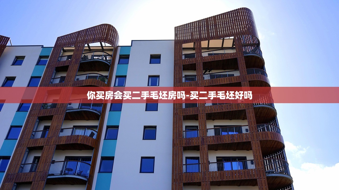 你买房会买二手毛坯房吗-买二手毛坯好吗