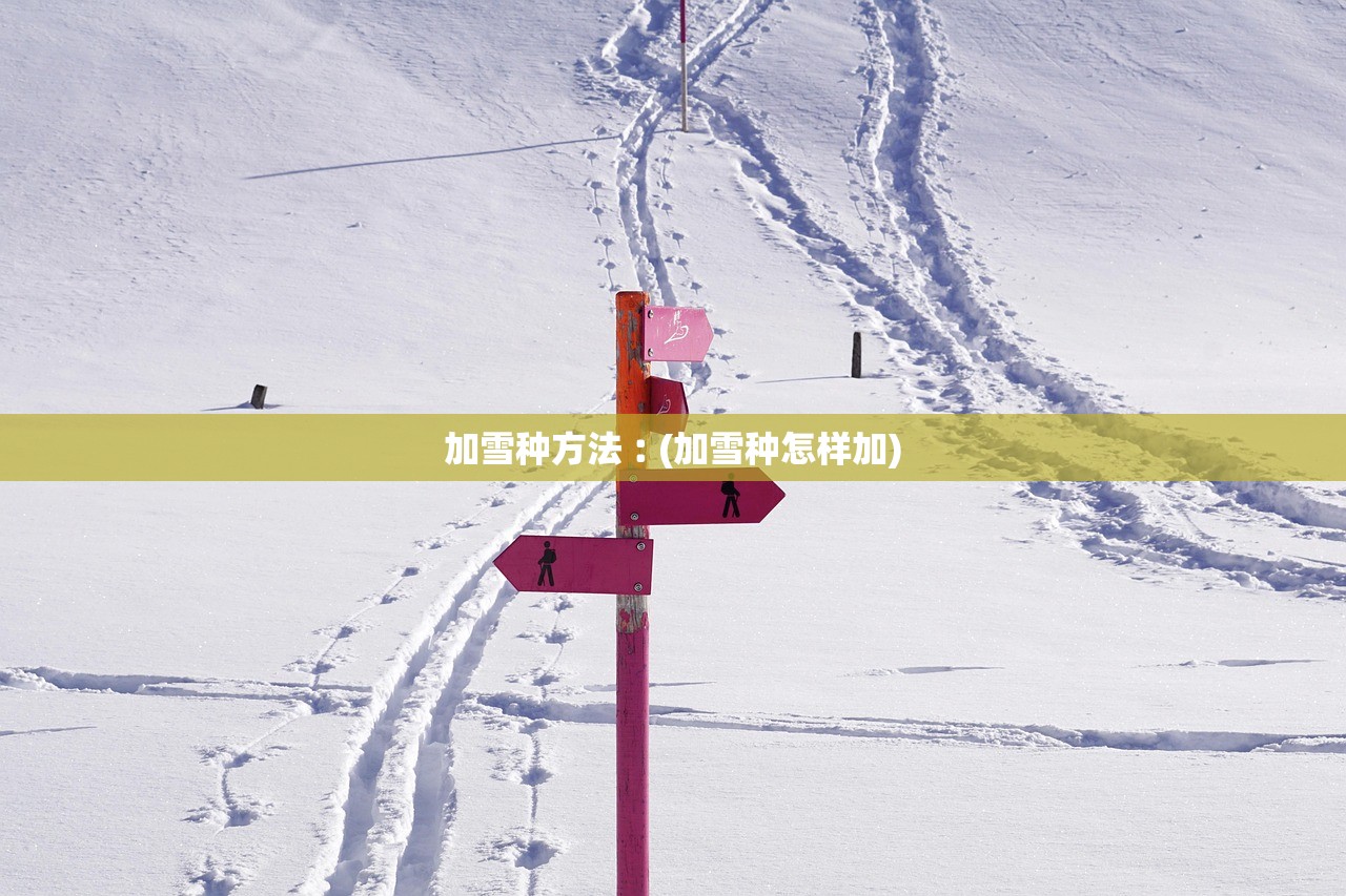 加雪种方法︰(加雪种怎样加) 加雪种方法︰(加雪种怎样加)