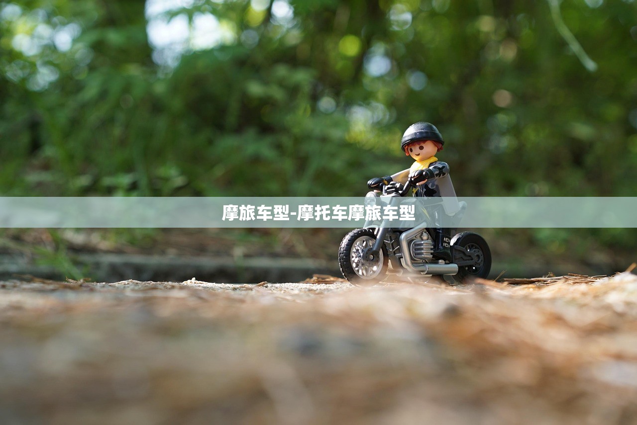 摩旅车型-摩托车摩旅车型