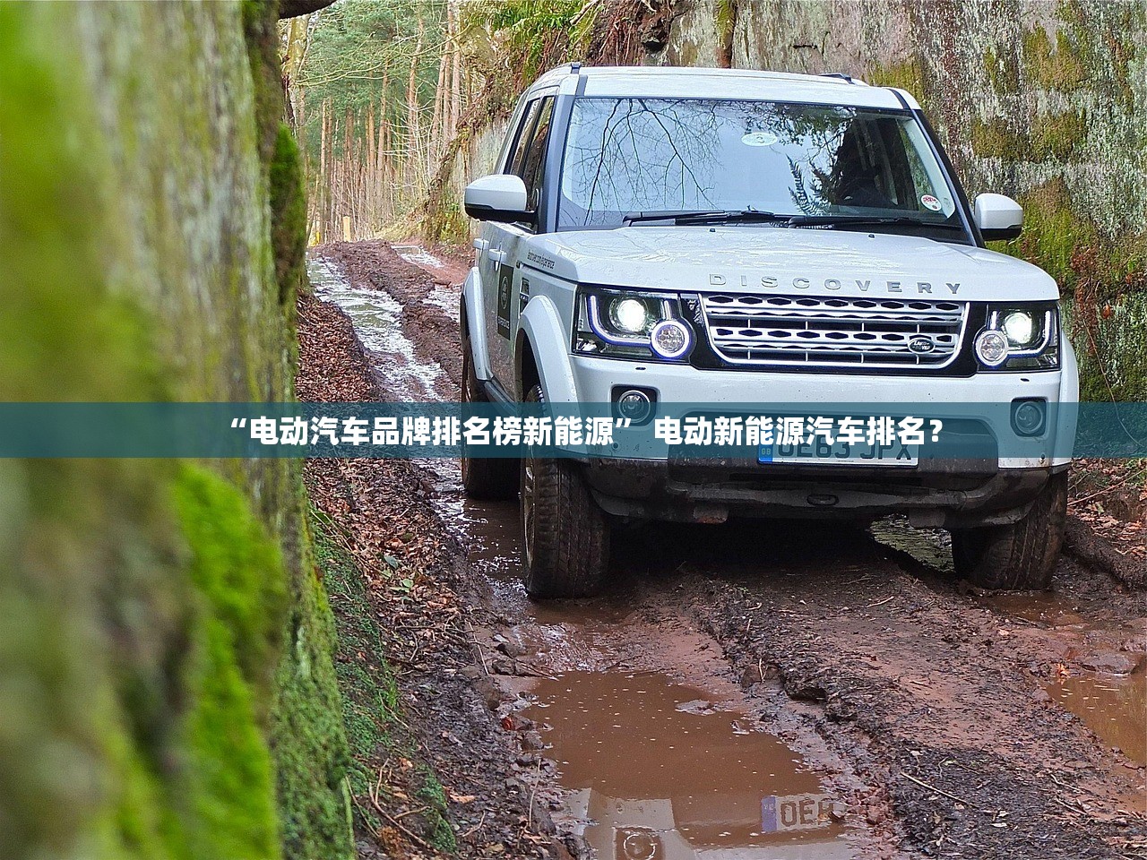 “电动汽车品牌排名榜新能源” 电动新能源汽车排名？