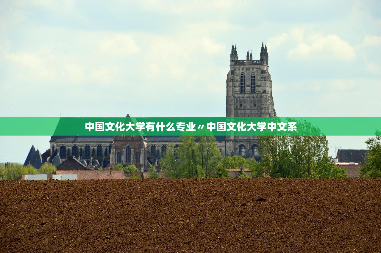 中国文化大学有什么专业〃中国文化大学中文系 中国文化大学有什么专业〃中国文化大学中文系