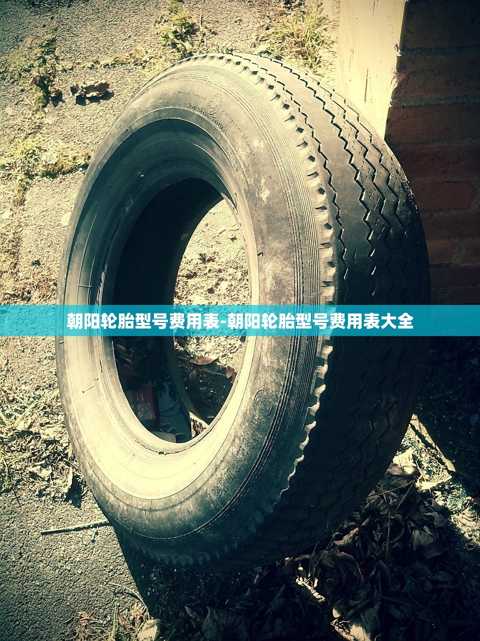 朝阳轮胎型号费用表-朝阳轮胎型号费用表大全 朝阳轮胎型号费用表-朝阳轮胎型号费用表大全