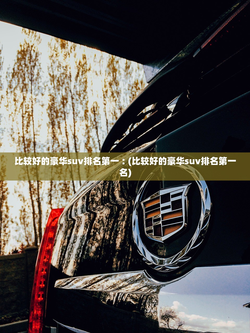 比较好的豪华suv排名第一︰(比较好的豪华suv排名第一名) 比较好的豪华suv排名第一︰(比较好的豪华suv排名第一名)