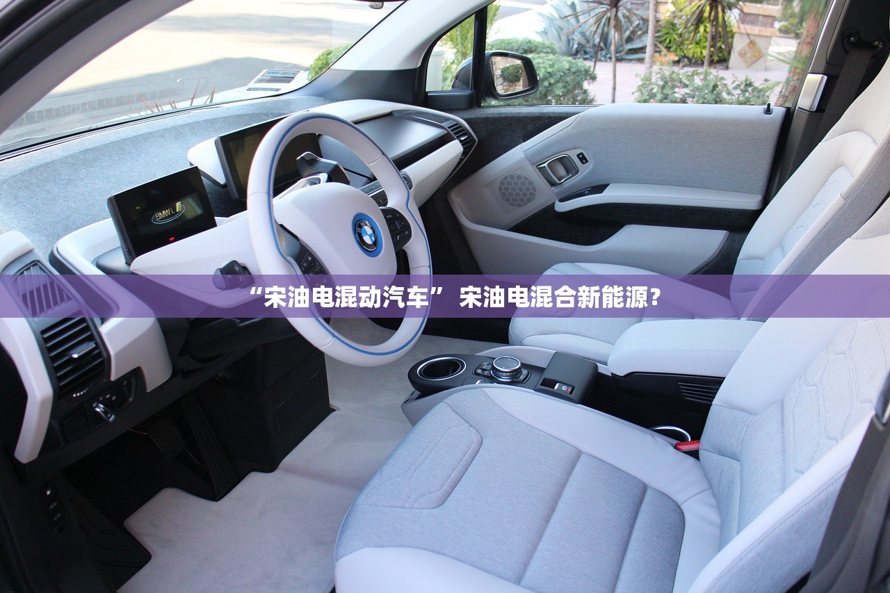 “宋油电混动汽车	” 宋油电混合新能源？