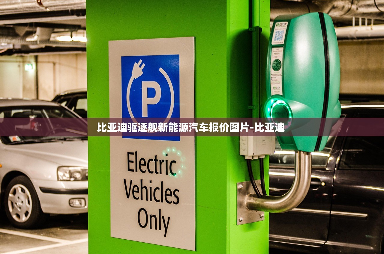 比亚迪驱逐舰新能源汽车报价图片-比亚迪 比亚迪驱逐舰新能源汽车报价图片-比亚迪
