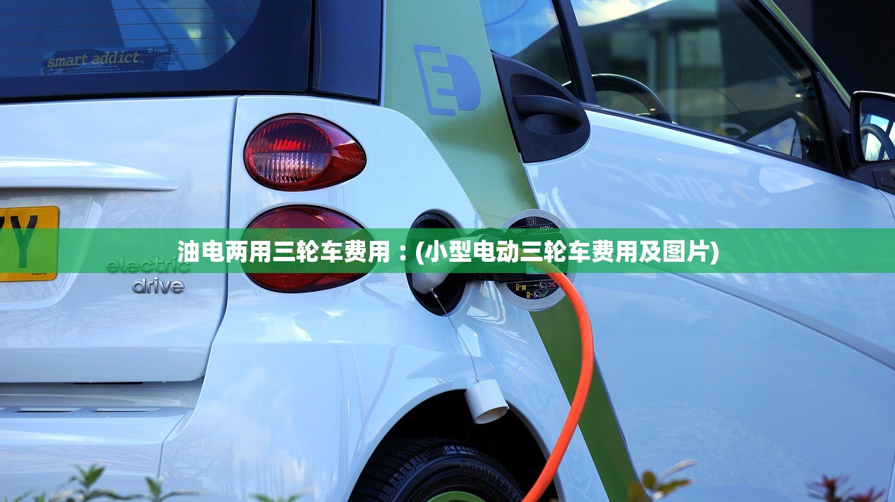 油电两用三轮车费用︰(小型电动三轮车费用及图片) 油电两用三轮车费用︰(小型电动三轮车费用及图片)
