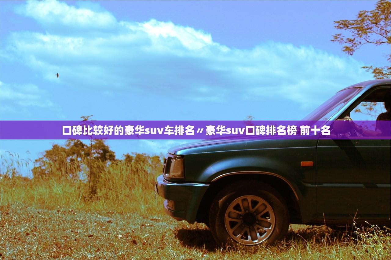 口碑比较好的豪华suv车排名〃豪华suv口碑排名榜 前十名
