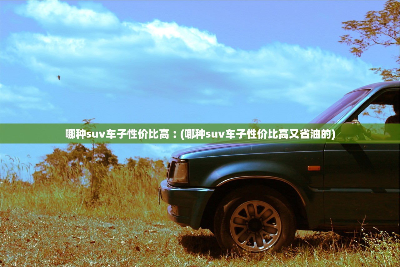 哪种suv车子性价比高︰(哪种suv车子性价比高又省油的)