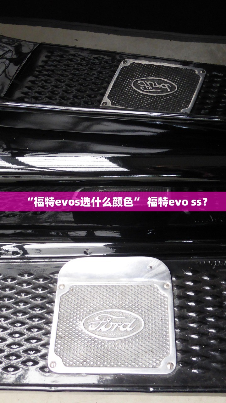 “福特evos选什么颜色	” 福特evo ss？