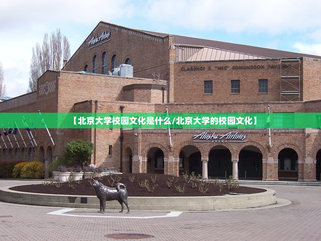 【北京大学校园文化是什么/北京大学的校园文化】 【北京大学校园文化是什么/北京大学的校园文化】