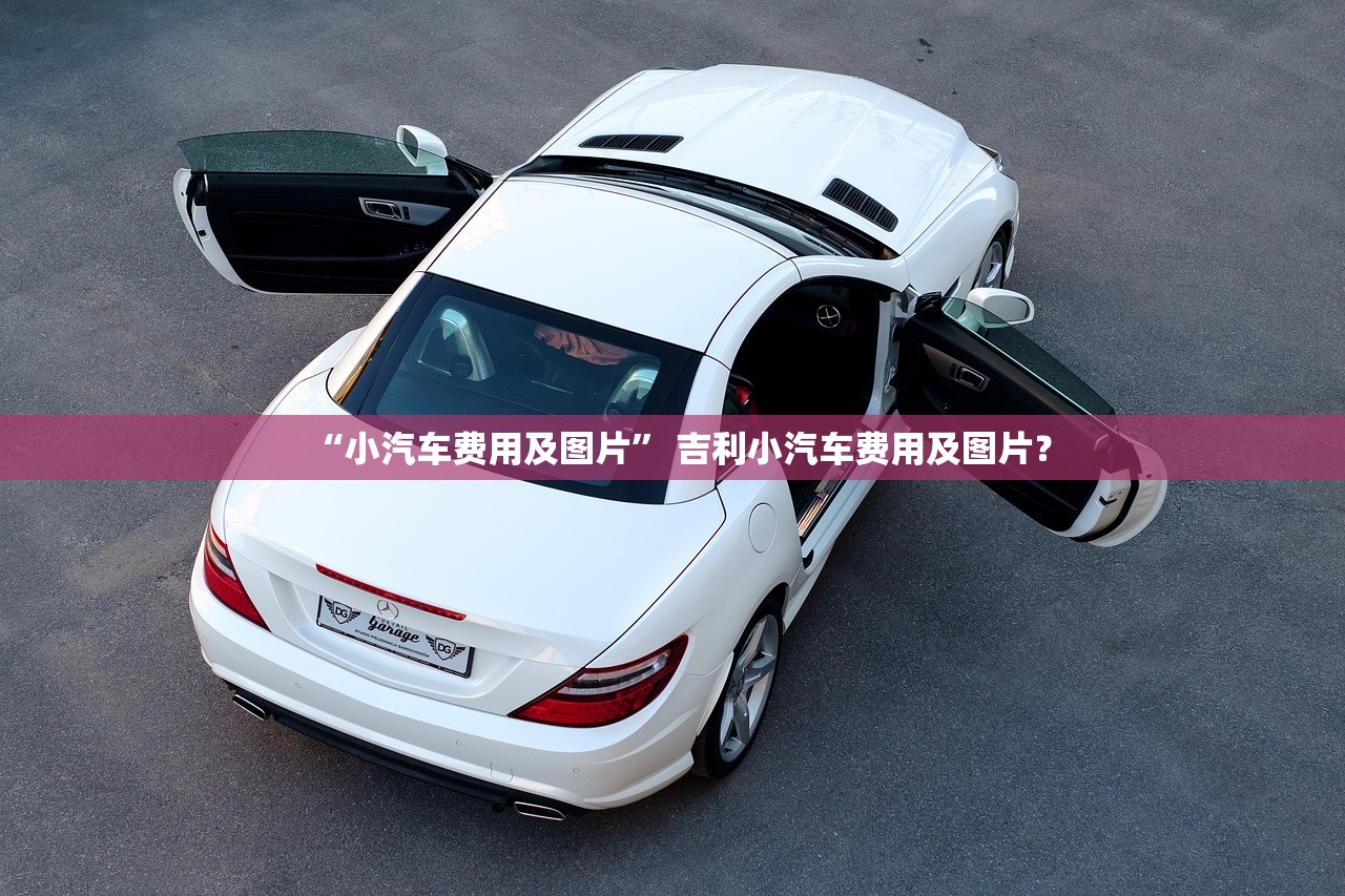 “小汽车费用及图片” 吉利小汽车费用及图片？