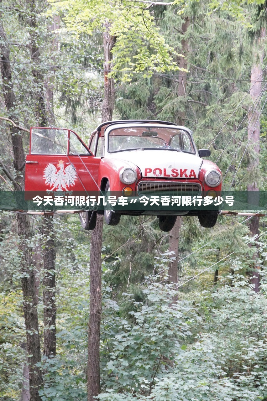 今天香河限行几号车〃今天香河限行多少号 今天香河限行几号车〃今天香河限行多少号