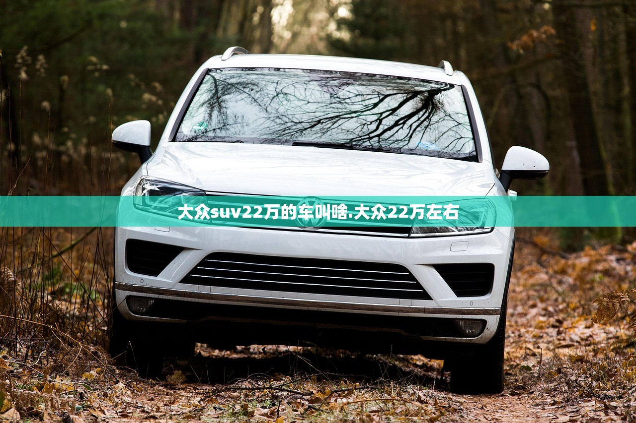 大众suv22万的车叫啥.大众22万左右 大众suv22万的车叫啥.大众22万左右