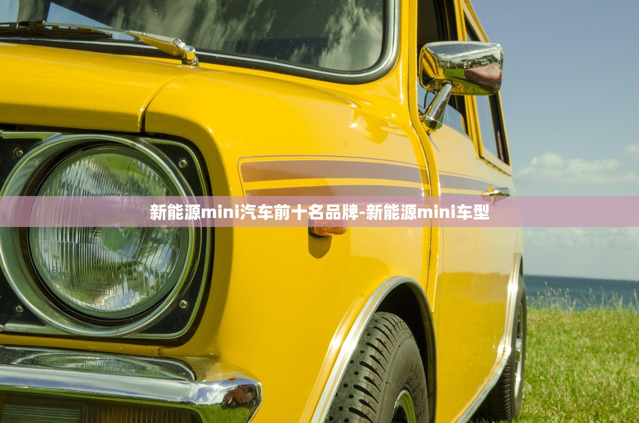 新能源mini汽车前十名品牌-新能源mini车型 新能源mini汽车前十名品牌-新能源mini车型