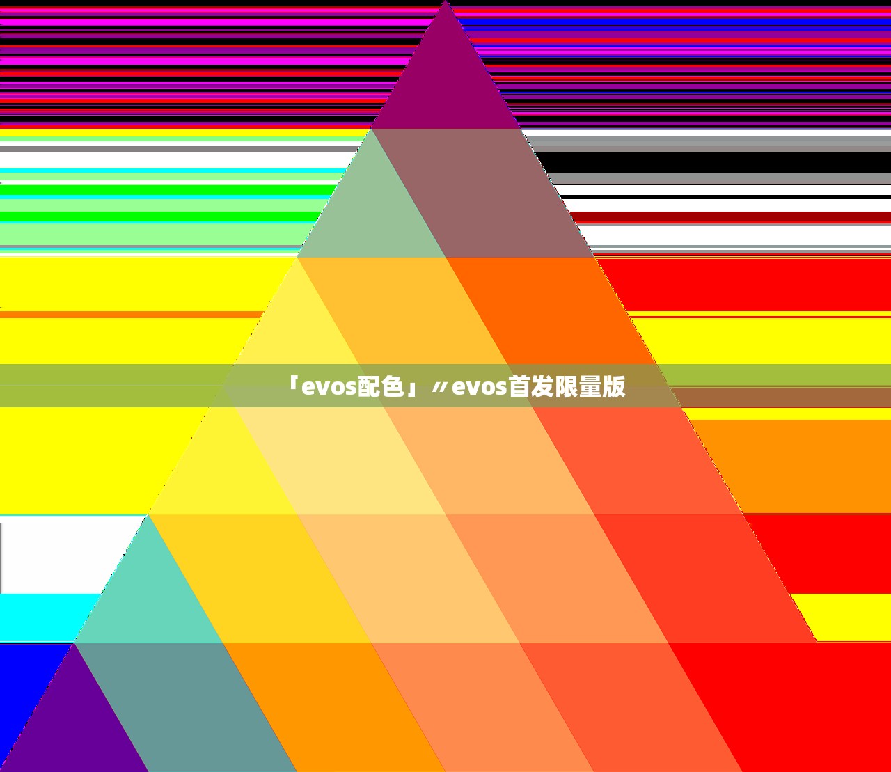 「evos配色」〃evos首发限量版 「evos配色」〃evos首发限量版