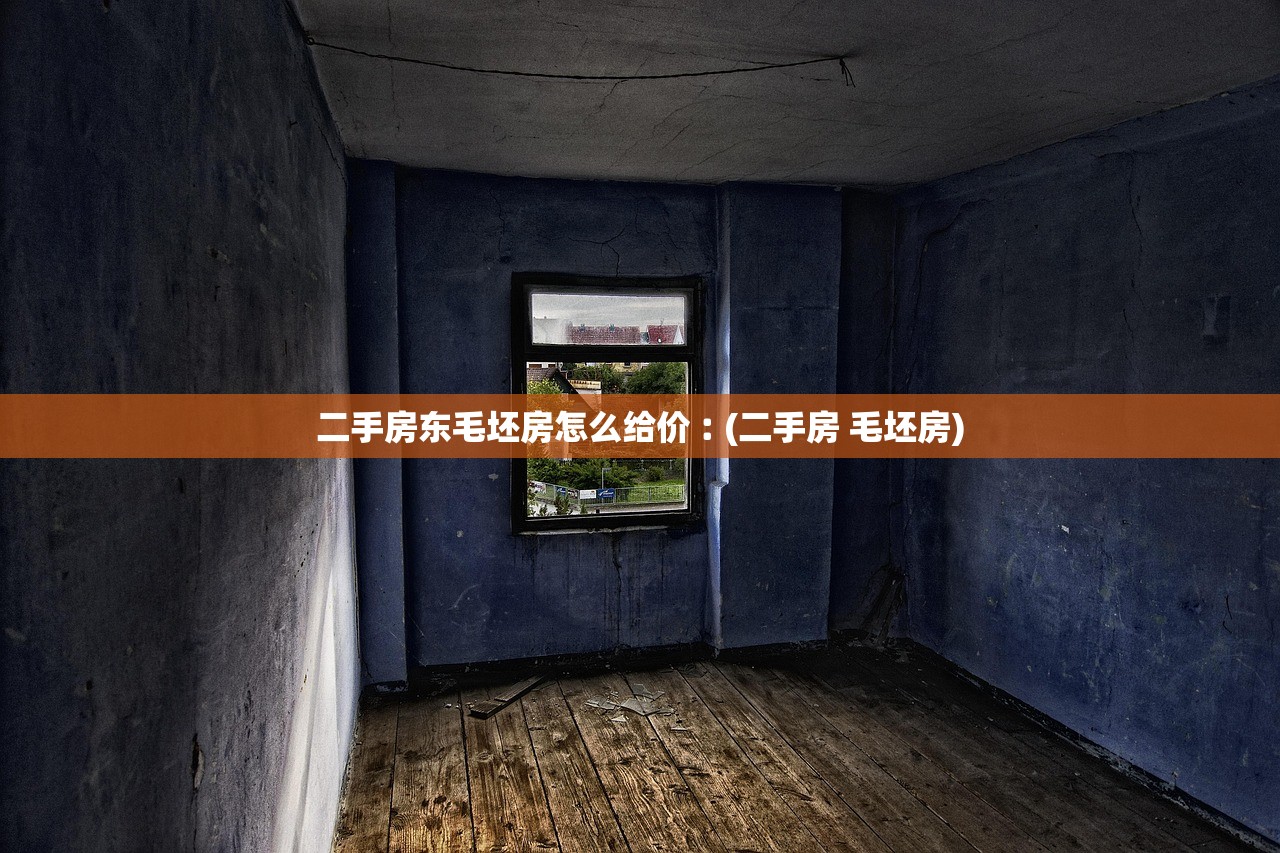 二手房东毛坯房怎么给价︰(二手房 毛坯房) 二手房东毛坯房怎么给价︰(二手房 毛坯房)