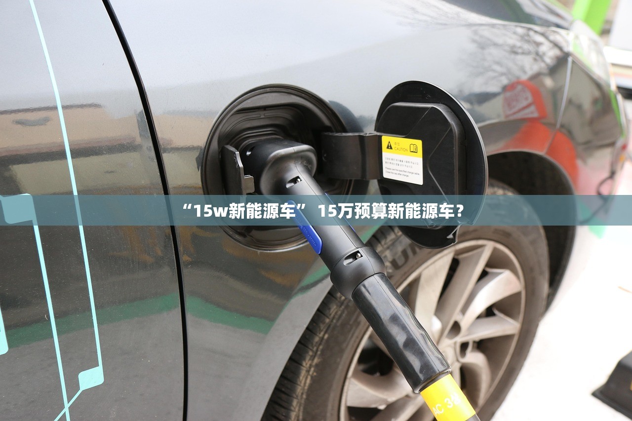 “15w新能源车” 15万预算新能源车？