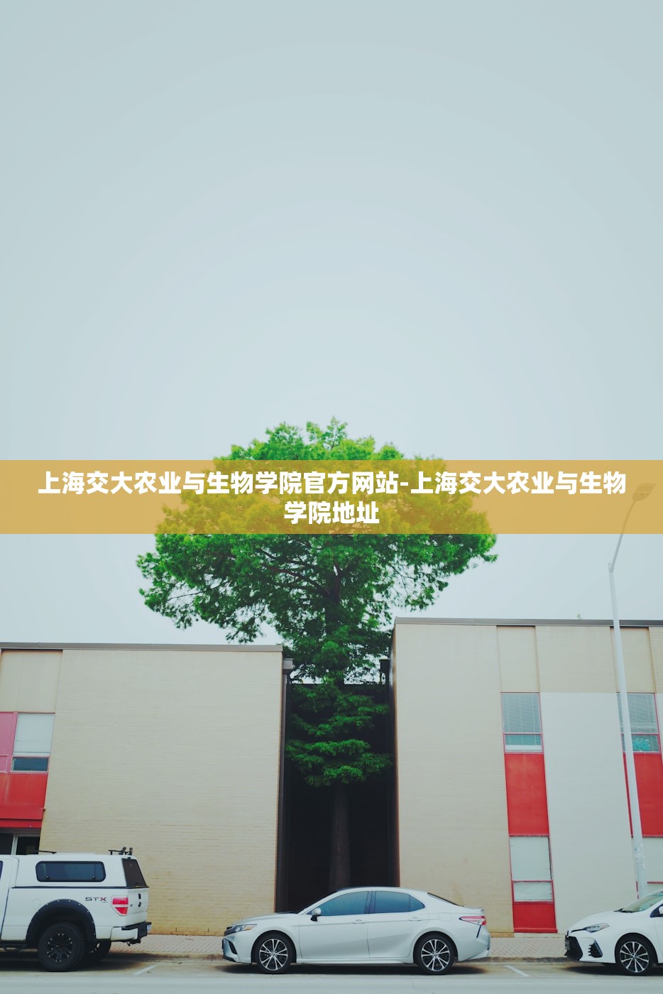 上海交大农业与生物学院官方网站-上海交大农业与生物学院地址 上海交大农业与生物学院官方网站-上海交大农业与生物学院地址