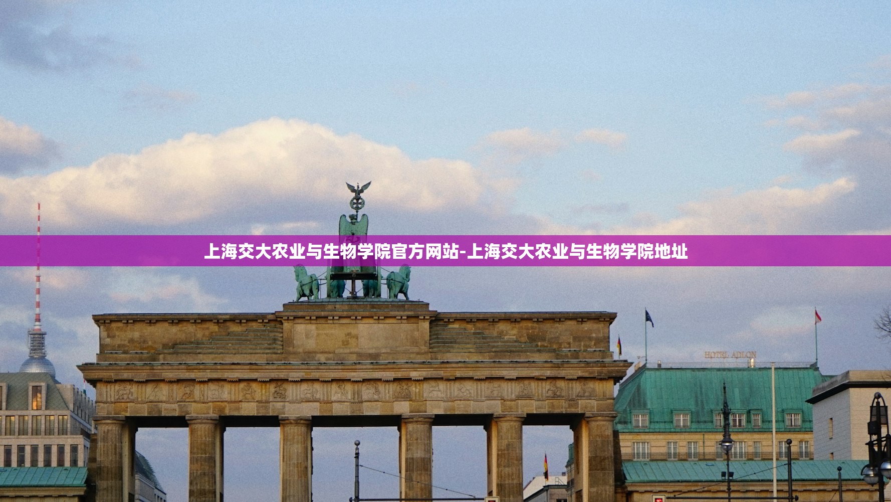 上海交大农业与生物学院官方网站-上海交大农业与生物学院地址 上海交大农业与生物学院官方网站-上海交大农业与生物学院地址