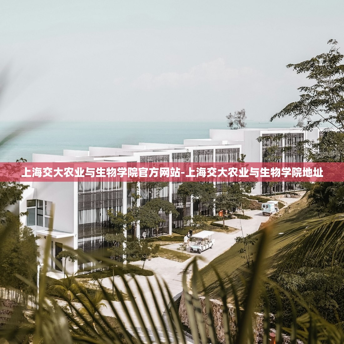 上海交大农业与生物学院官方网站-上海交大农业与生物学院地址 上海交大农业与生物学院官方网站-上海交大农业与生物学院地址