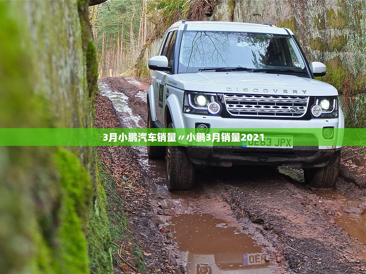 3月小鹏汽车销量〃小鹏3月销量2021 3月小鹏汽车销量〃小鹏3月销量2021