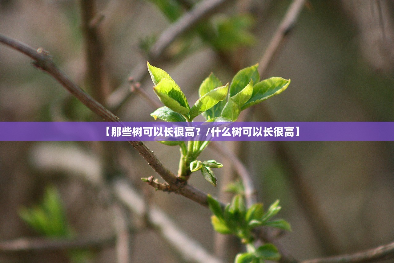 【那些树可以长很高？/什么树可以长很高】