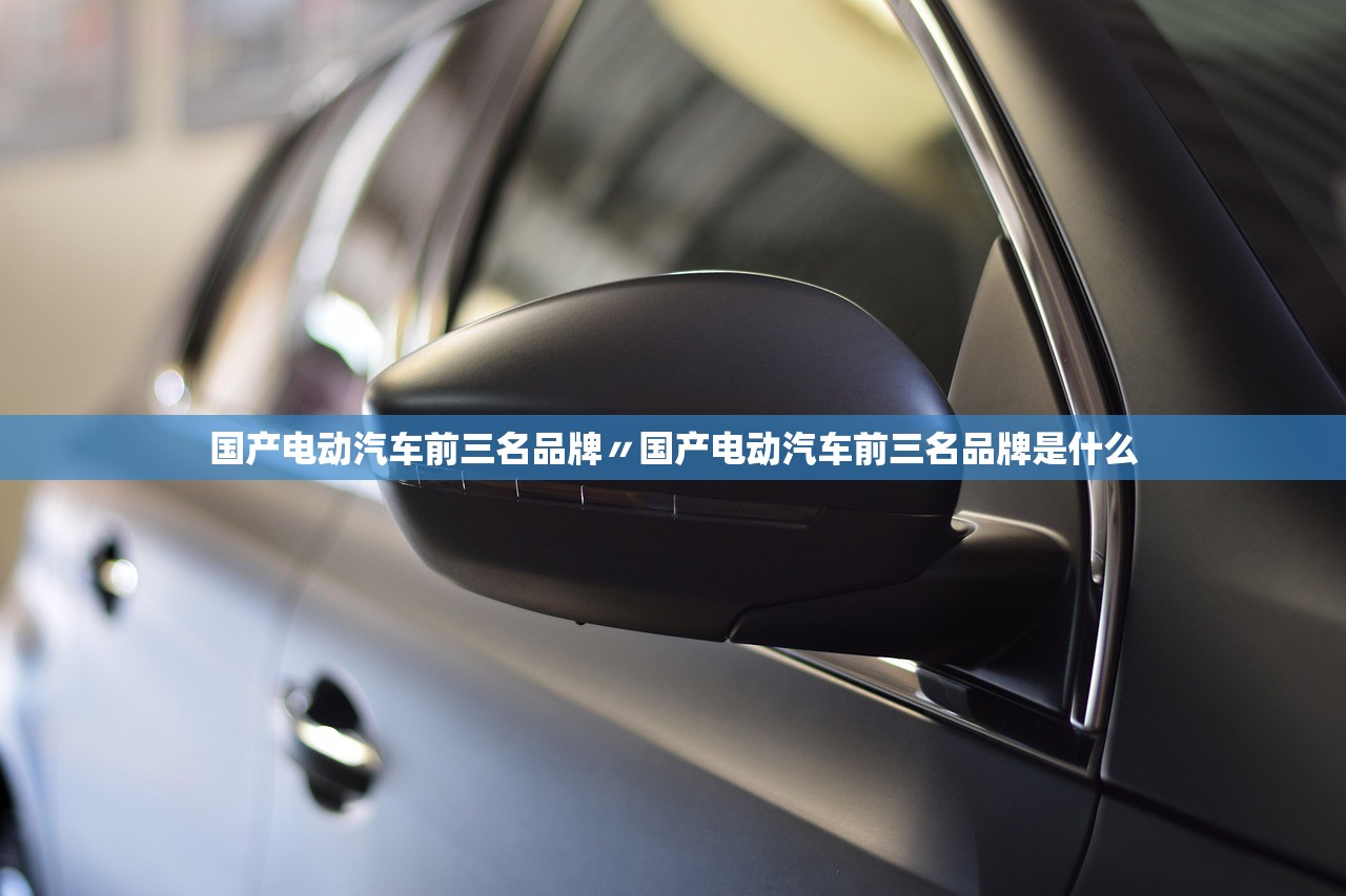 国产电动汽车前三名品牌〃国产电动汽车前三名品牌是什么