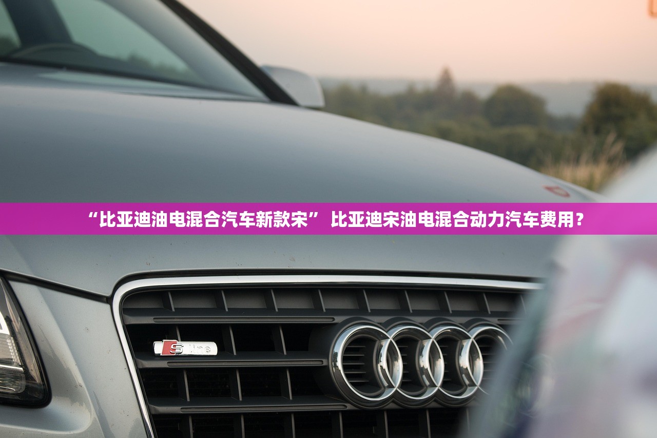 “比亚迪油电混合汽车新款宋” 比亚迪宋油电混合动力汽车费用？