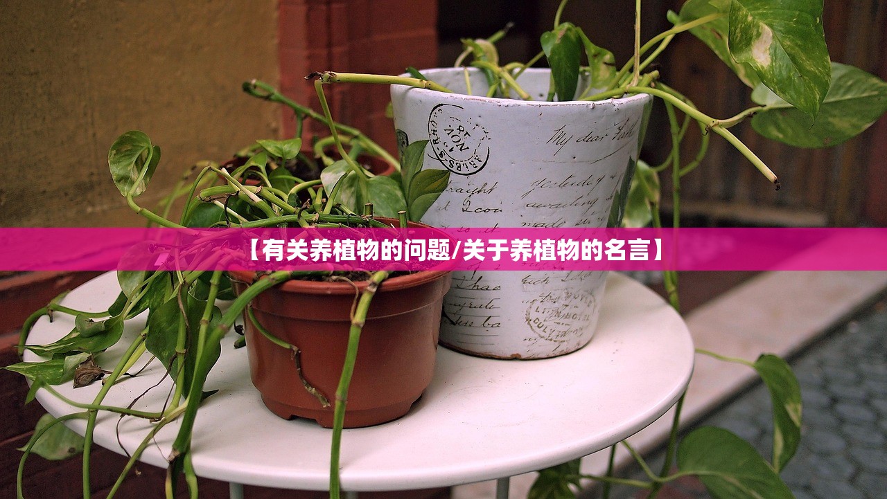 【有关养植物的问题/关于养植物的名言】 【有关养植物的问题/关于养植物的名言】