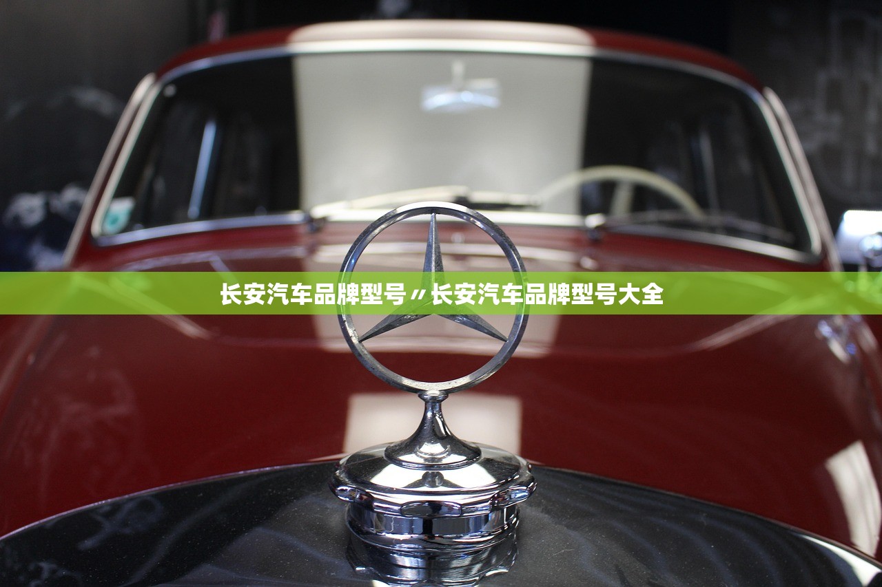 长安汽车品牌型号〃长安汽车品牌型号大全 长安汽车品牌型号〃长安汽车品牌型号大全