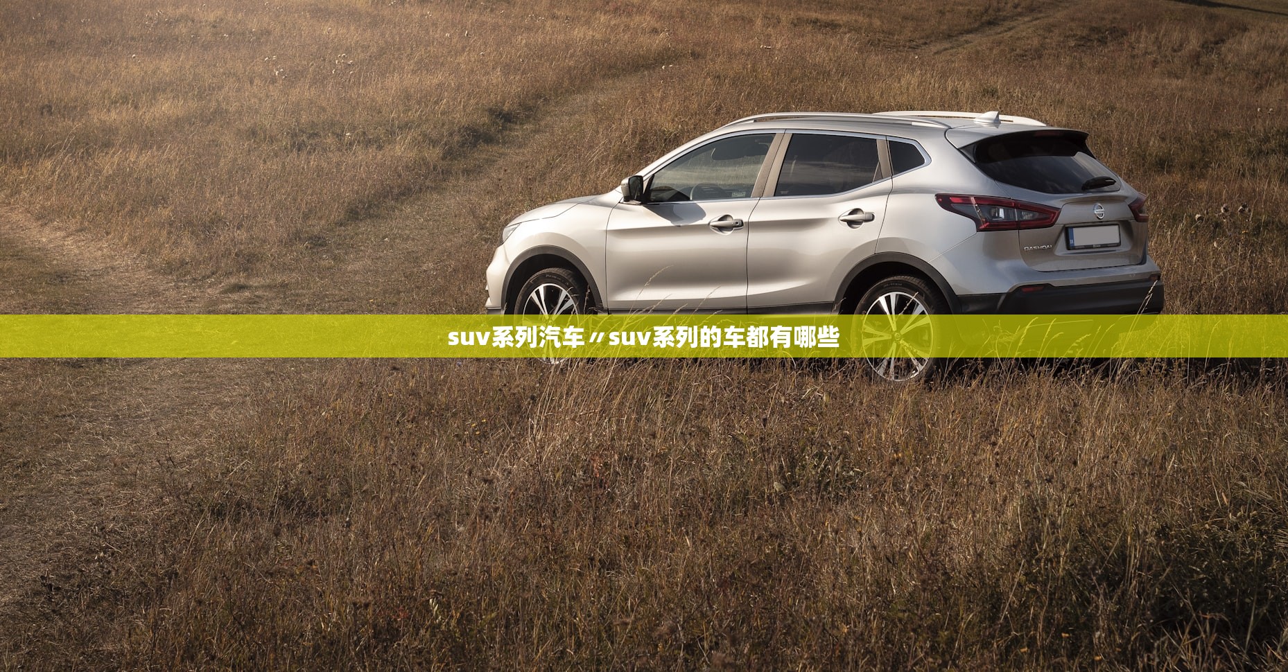 suv系列汽车〃suv系列的车都有哪些 suv系列汽车〃suv系列的车都有哪些