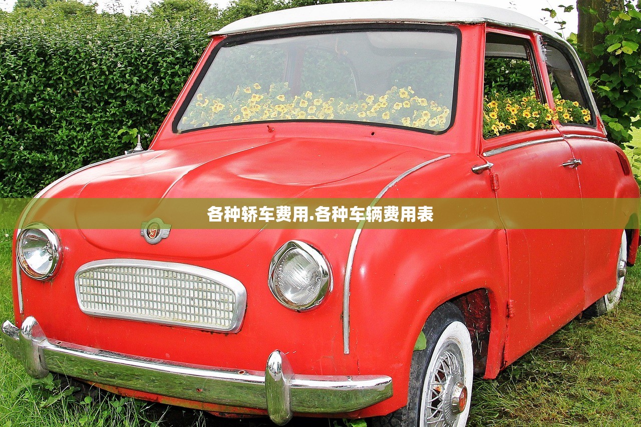 各种轿车费用.各种车辆费用表 各种轿车费用.各种车辆费用表