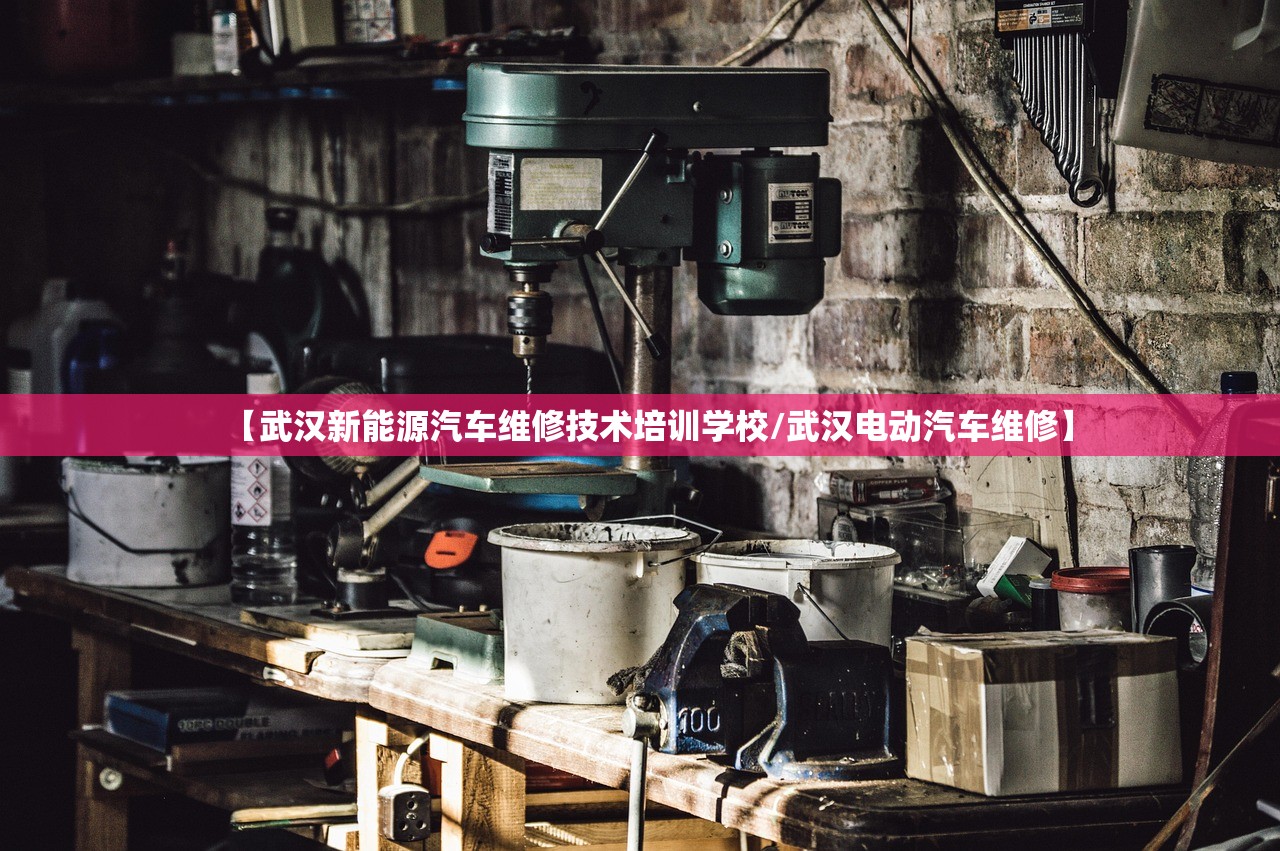 【武汉新能源汽车维修技术培训学校/武汉电动汽车维修】 【武汉新能源汽车维修技术培训学校/武汉电动汽车维修】